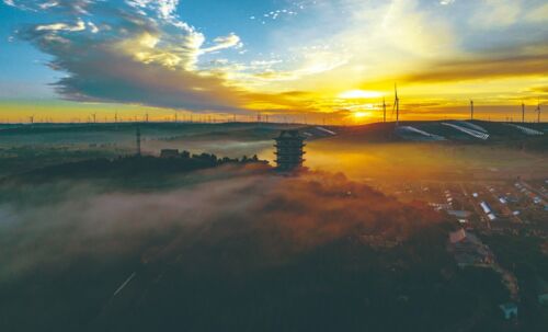 供图（刘志伟 摄） (7).jpg