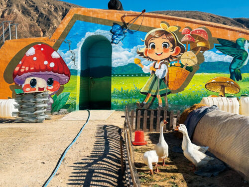 图 施晶晶 (2).jpg