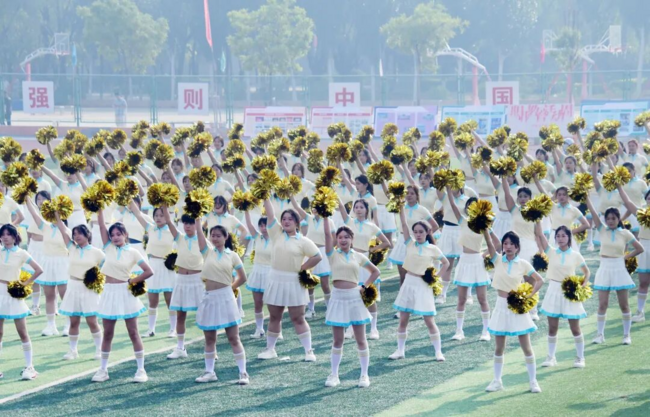 图片15.png
