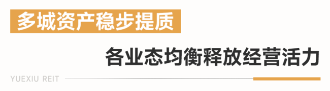 33ea00888fa5e7aec53c4e5035910706.png